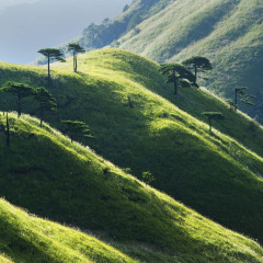 1139_武功山江西