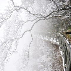 513_张家界_鬼谷栈道