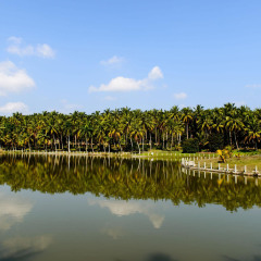 560_海南_兴隆热带植物园