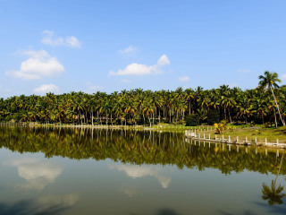 兴隆热带植物园