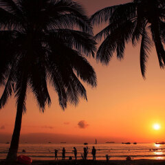 1242_三亚_椰梦长廊看落日