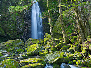 龙栖山自然保护区