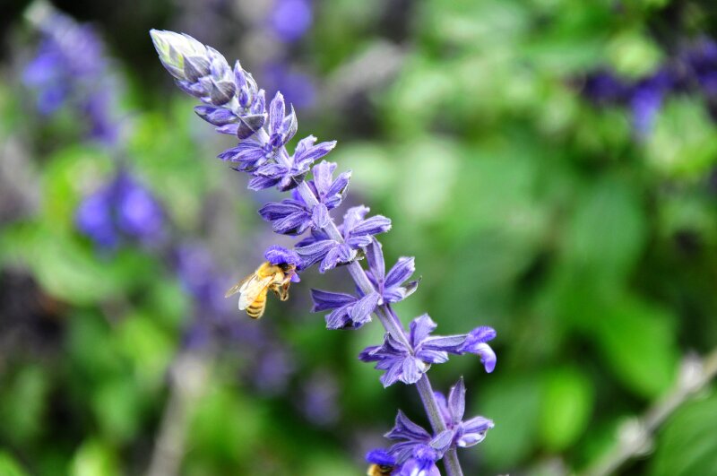 寻找最美捷运站,与羊咩咩亲密接触之旅