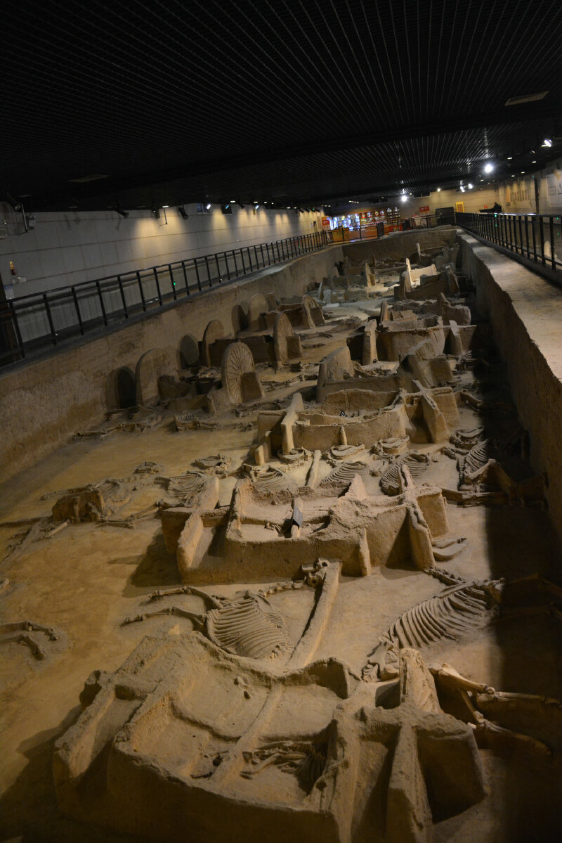 博物馆第二展区的墙壁上,有"东周王城天子驾六卒马陪葬坑"的详细介绍