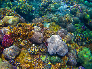 漳州海底森林景区