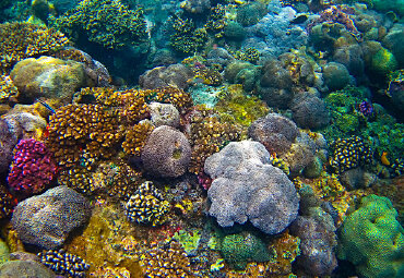 漳州海底森林景区