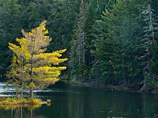 龙岩国家森林公园