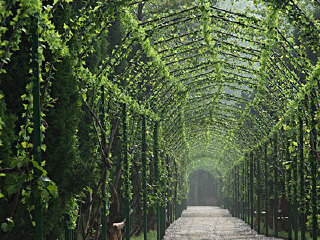 滨河路绿色长廊