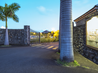 留尼汪岛棕榈酒店