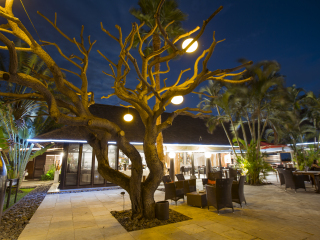 留尼汪岛棕榈酒店