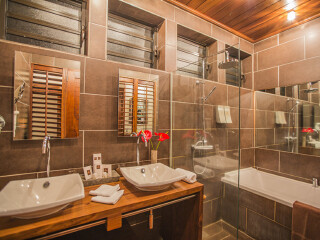 留尼汪岛棕榈酒店