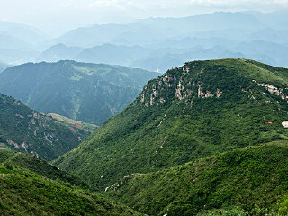 麦草沟自然保护区
