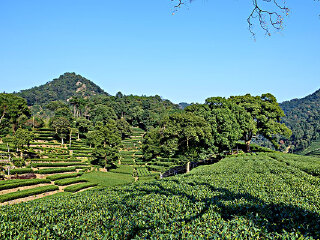 白水江生物圈保护区