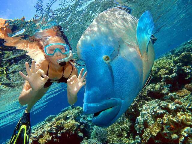  澳大利亚-悉尼-黄金海岸-凯恩斯8-9日游>纯玩,无早航班,歌剧院入内