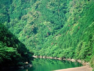 渭河源国家森林公园