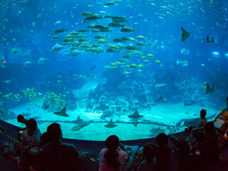 圣淘沙名胜世界海洋生物园