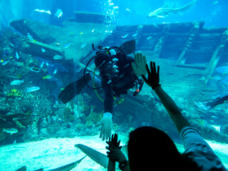 圣淘沙名胜世界海洋生物园