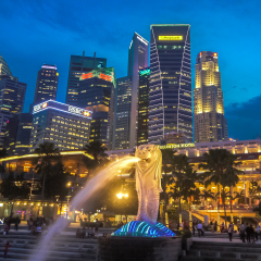 鱼尾狮 夜景