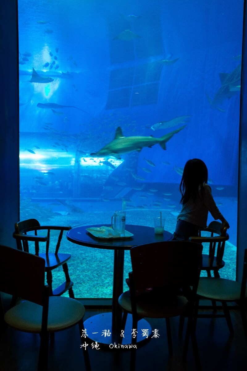 【日本】冲绳4日游,激活日本三年多次签证