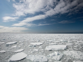 [2018年]斯瓦尔巴和扬马延签证,去斯瓦尔巴和扬
