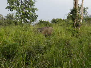 米内日亚国家公园