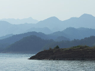 担杆岛自然保护区