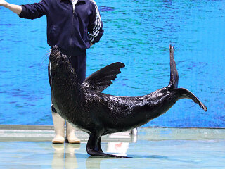 金桃山休闲乐园