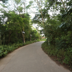 小路