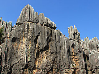 天津元古奇石林