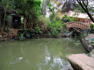 大夫山森林公园