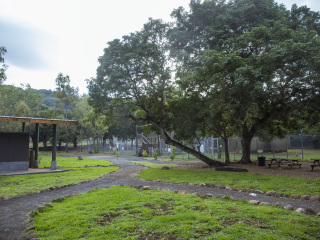 卡塞拉飞鸟公园