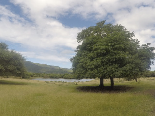 卡塞拉飞鸟公园