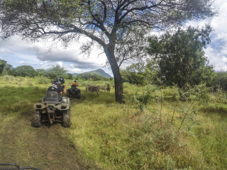 卡塞拉飞鸟公园