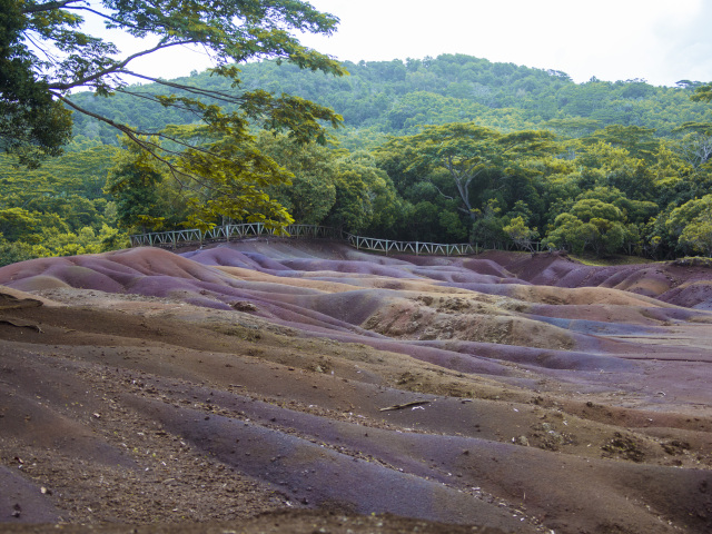 马达加斯加 塞舌尔 毛里求斯 留尼旺4国15日深