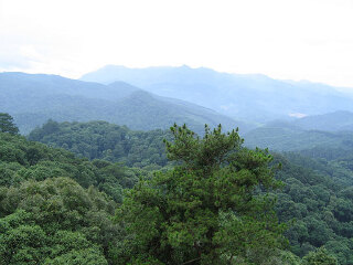 灵台山