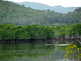 甘什岭自然保护区