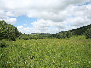 斧头山自然保护区