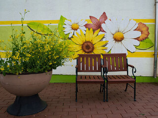 甘川洞文化艺术村