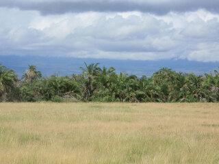 安博塞利国家公园
