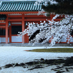 236_京都_平安神宫