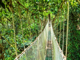 西双版纳原始森林公园