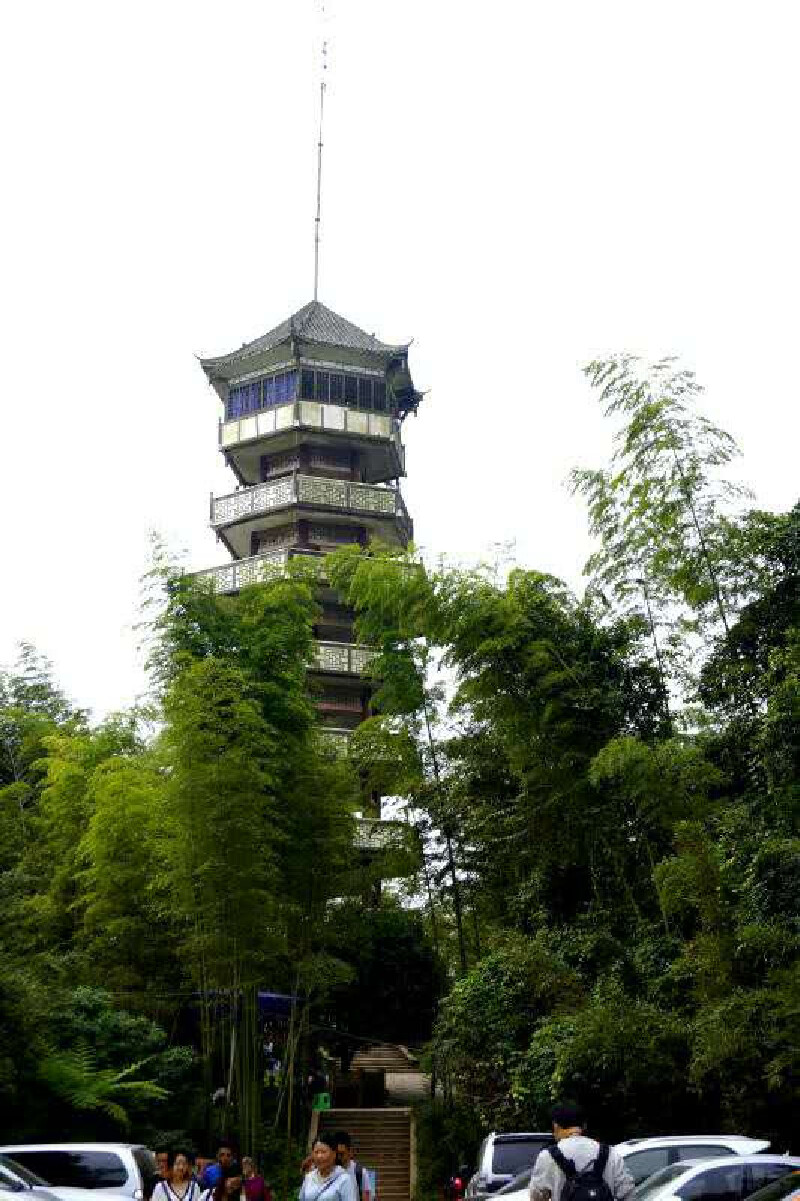 竹海观光索道全长2728米,缆车就像一艘小船,在竹海中乘风破浪,穿云踏
