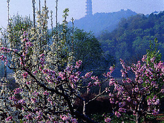 当阳玉泉风景区
