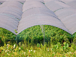 双安农业高新技术园区
