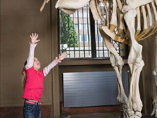 辛德尔芬根城市画廊