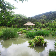 745_凯恩斯_加布卡原住民文化公园