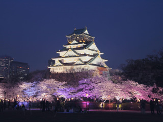 犬山城