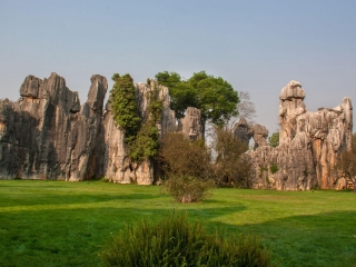 荔波喀斯特森林