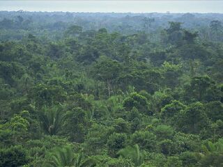 铁山寺森林保护区
