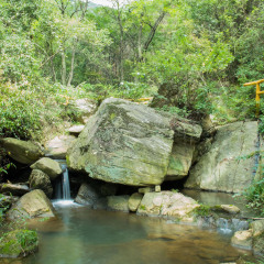 1139_云雾山武汉